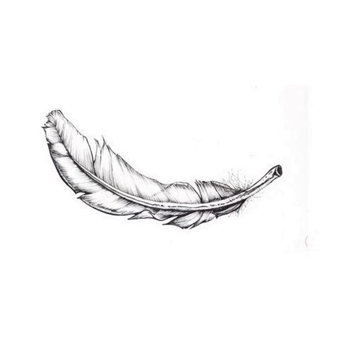A feather settling